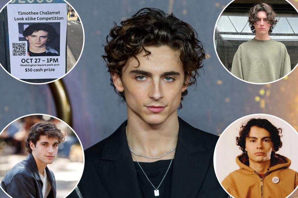 3 Timothée Chalamet Looks Like Entering NYC Mystery Pageant